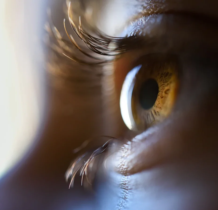 ojo