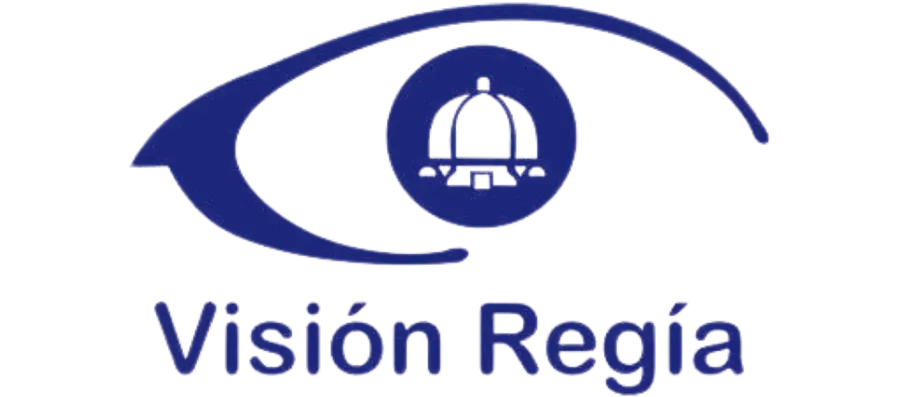 LOGO-VISION-REGIA