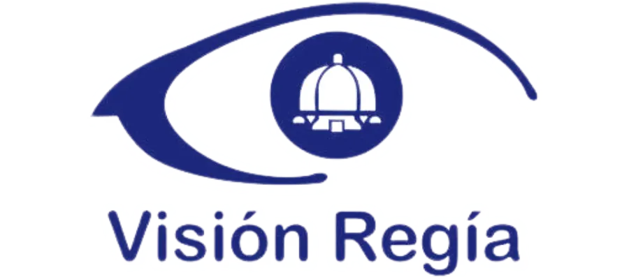 LOGO-VISION-REGIA-2
