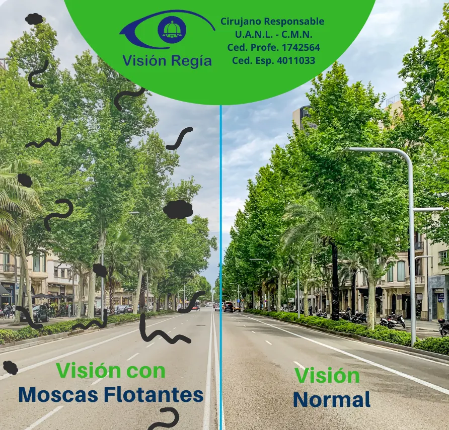 moscasflotantesmty (1)